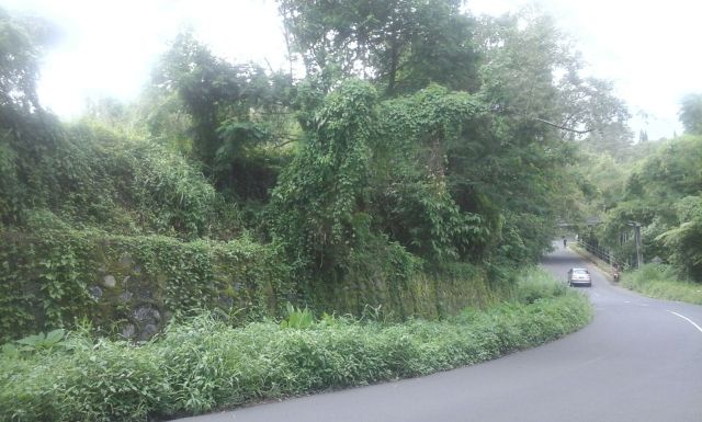 Tanah setelah jembatan