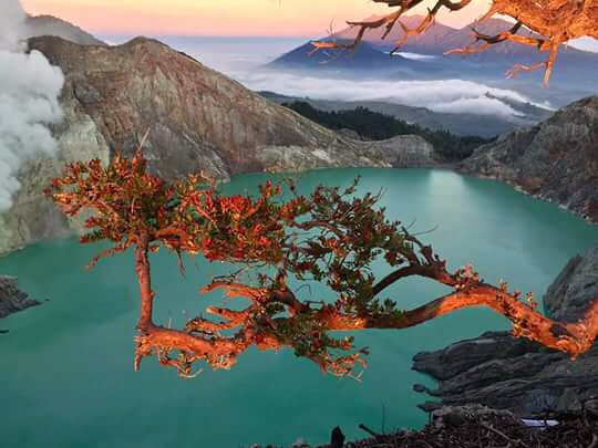 The lake of crater ijen altitude 2875 m